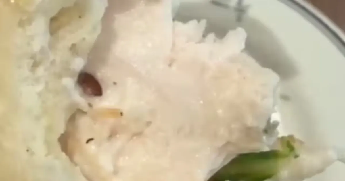 Gurugram Restaurant Faces Food Safety Concern After Live Worm Found Inside Sandwich