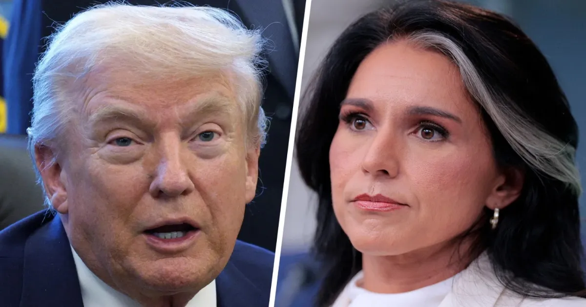 Tulsi Gabbard Warned Trump About Iran War Consequences Before February Attack