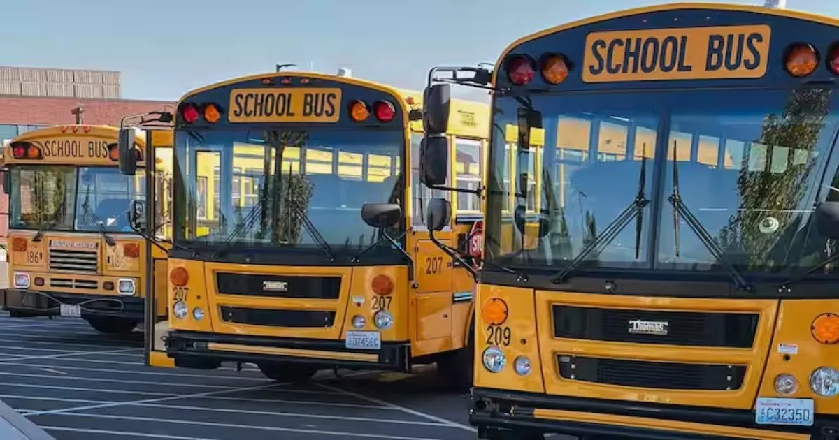 Why School Buses Are Painted Yellow: The Safety Science Explained