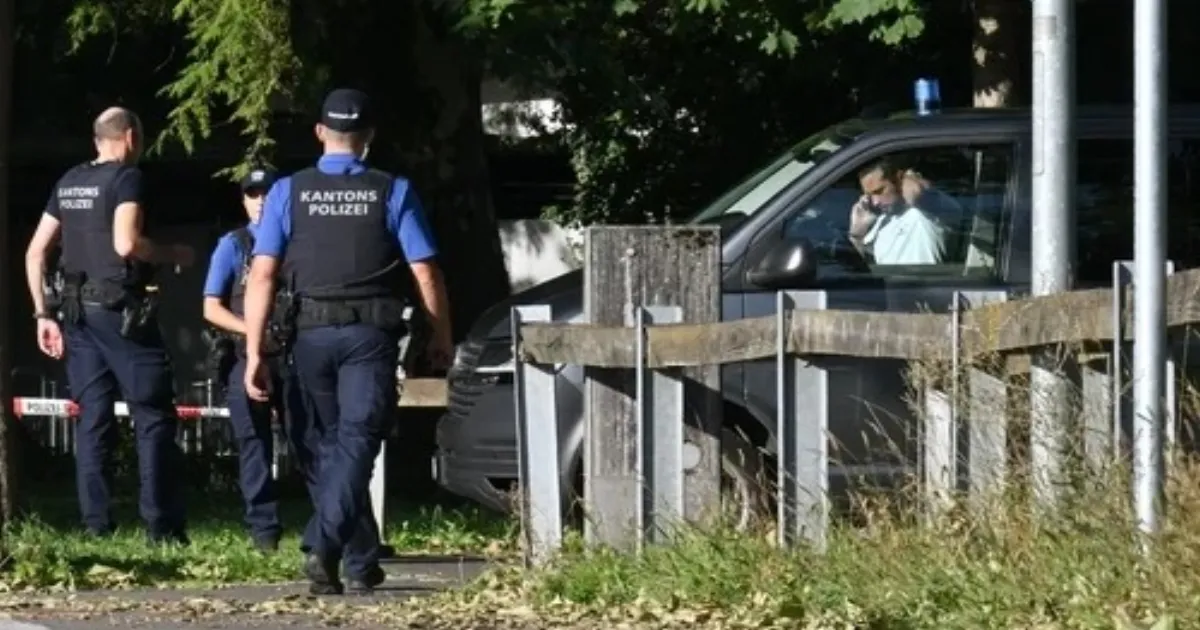 Gunman at Large After Killing One, Wounding Five at Switzerland's Aarau Electronic Music Festival