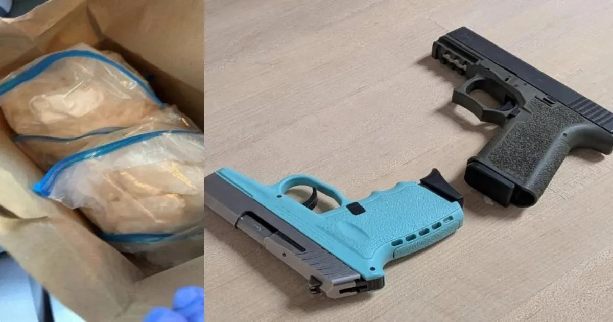 Pizza And Meth: Indian National In US Caught Using Popular Pizzeria As Drug Front