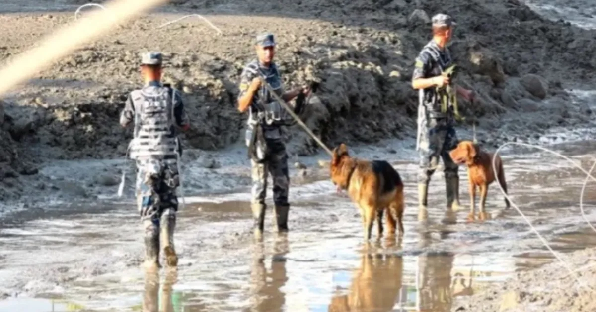 Nepal Flood Disaster: Police And Paramilitary Sniffer Dogs Locate 26 Bodies In Bhotekoshi