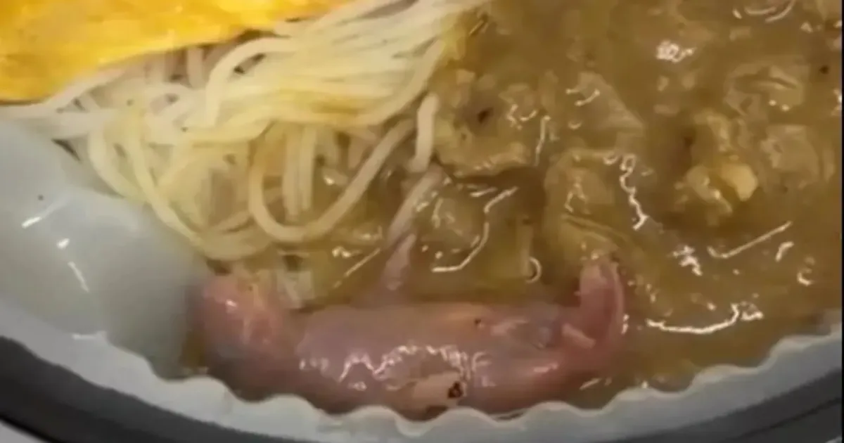 Hong Kong Food Authorities Launch Urgent Probe After Live Baby Rat Found In Meal
