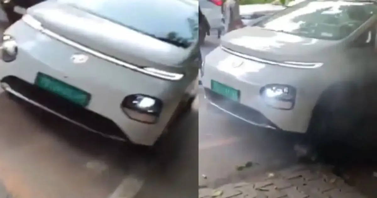 Driverless MG Windsor EV Crashes Into Tree In Ludhiana, Accelerates After Impact