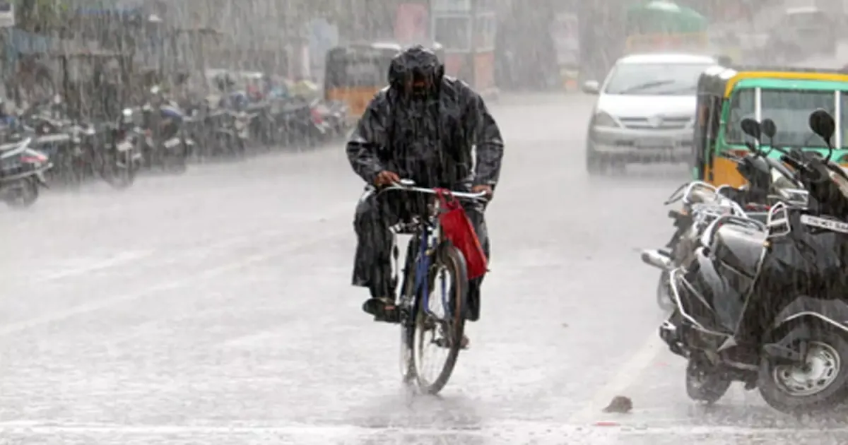 Heavy Rain Forecast For Nilgiris, Coimbatore As Tamil Nadu Sees Widespread Showers