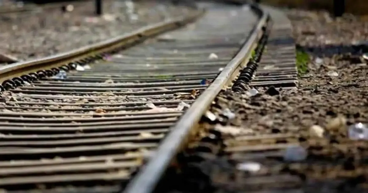 Madhya Pradesh Revenue Official Dies On Railway Tracks, Sons Found Dead Inside Car Hours Afterwards