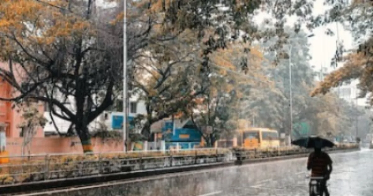 Heavy Showers Expected In Several States As IMD Updates Tamil Nadu, Puducherry Forecast