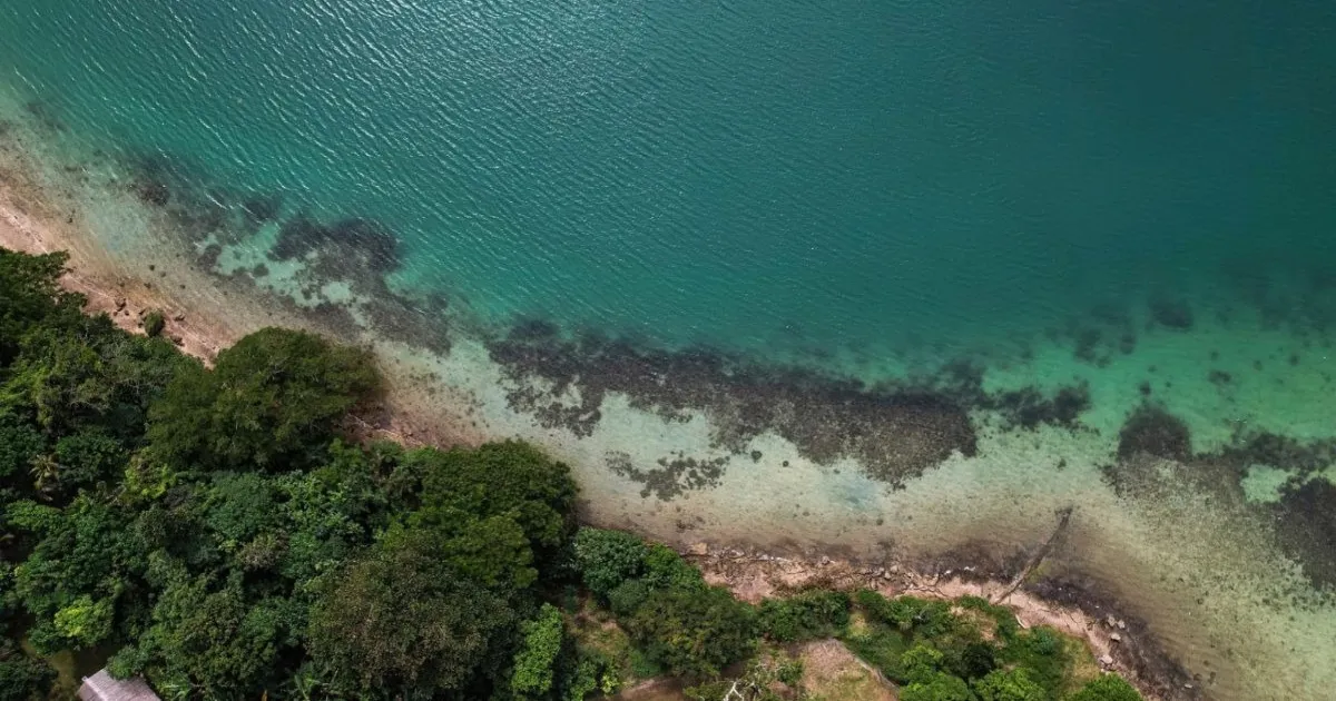 Tsunami Alert Briefly Issued After Strong 6.9-Magnitude Earthquake Jolts Vanuatu Islands