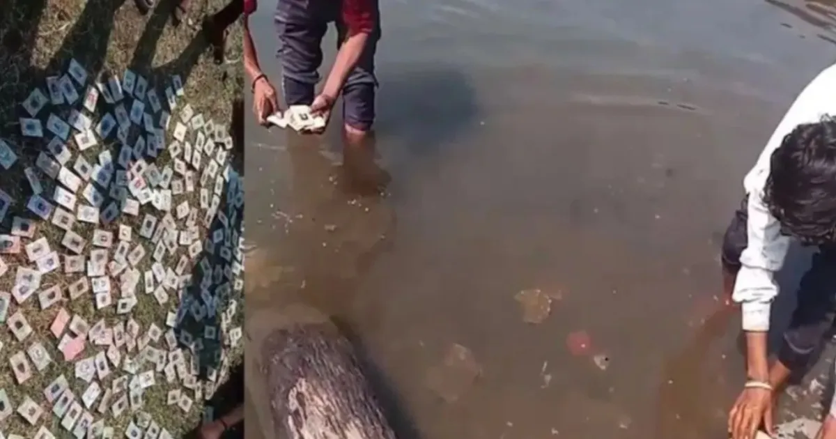 Madhya Pradesh Officials Investigate Discovery Of More Than 340 Voter ID Cards Near Narmada River