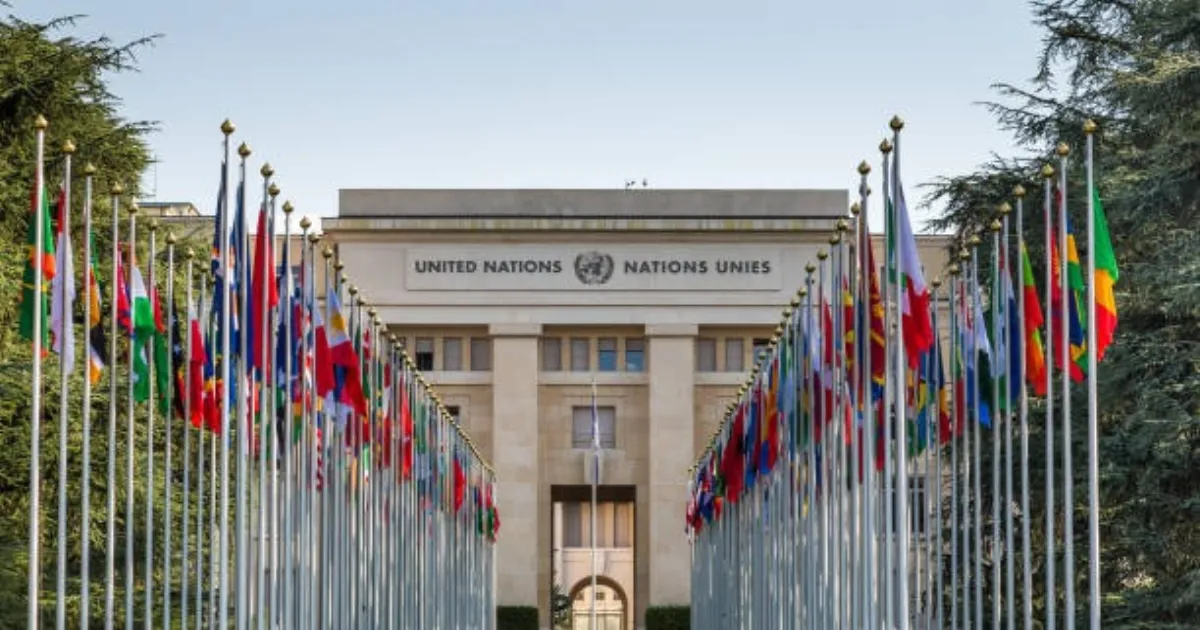 UN Young Professionals Programme 2026 Applications Open: Check Age And Qualification Criteria