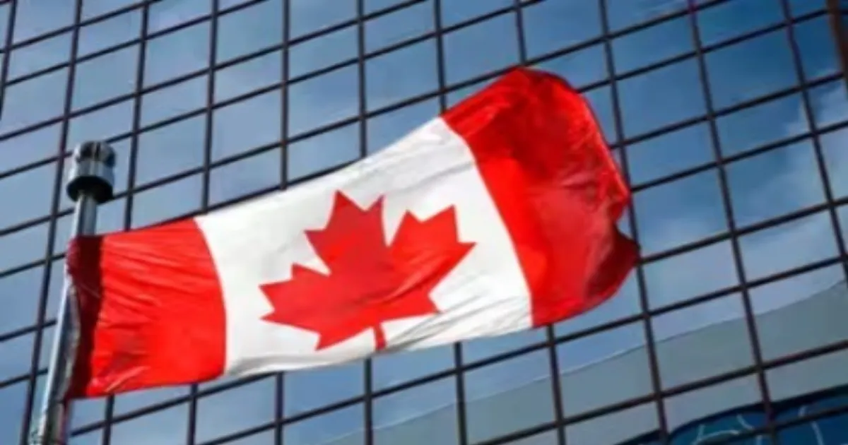 Unlicensed Immigration Advisers Face Tougher Enforcement Under Canada’s New Penalty Framework