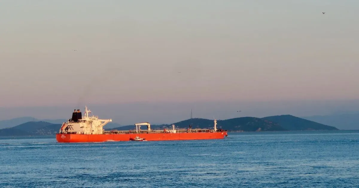 Explosive Devices Strike Panama-Flagged Vessel Carrying Indian Sailors In Strait Of Hormuz Waters
