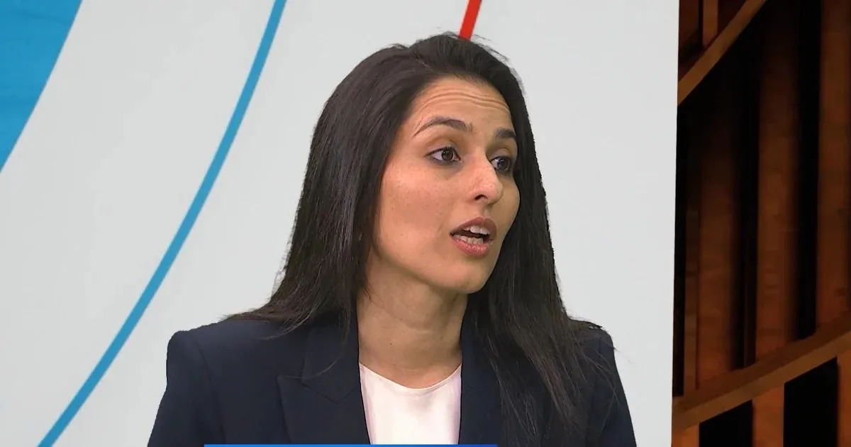 Pia Dandiya Eyes Historic Florida Congressional Win Against Republican Casey Askar In Midterms
