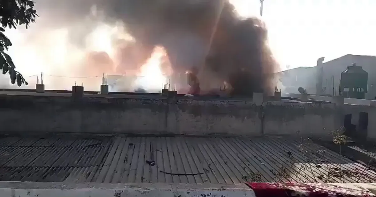 Illegal Firecracker Factory Disguised as Garment Unit Catches Fire in Rajasthan; 7 Dead